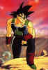 bardock..jpg (42292 bytes)