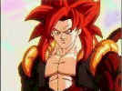 ssj4_gogeta.jpg (27897 bytes)